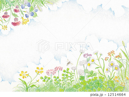 『ウマ娘』新CMが公開 野の花　(size17x22) 絵画/タペストリ