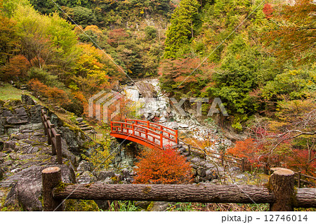 安居渓谷 もみじ橋 紅葉 橋の写真素材