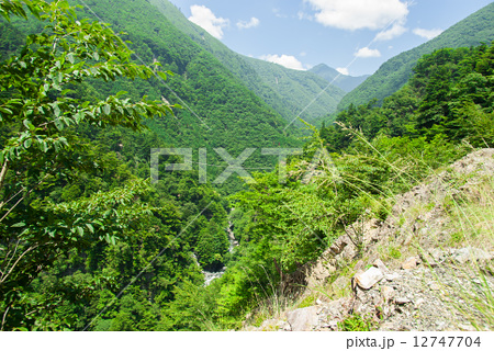 無想吊橋の写真素材