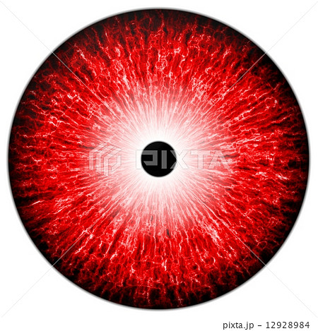 赤い瞳のイラスト素材