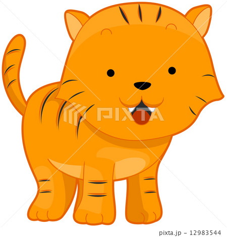 Baby Tiger - Stock Illustration [12983544] - PIXTA