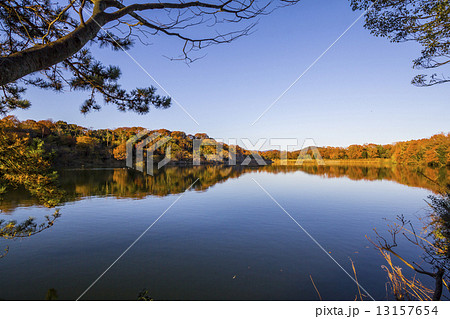 森林公園 池 森林浴の森日本１００選 愛知県の写真素材