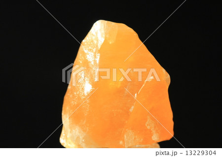 猫と蝶々 オレンジ カルサイト