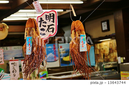 干物 タコ たこ 明石の写真素材