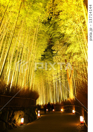 嵐山 竹林の小径 デートスポット 京都市の写真素材