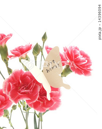 いつもありがとう 花束 カーネーション メッセージカードの写真素材