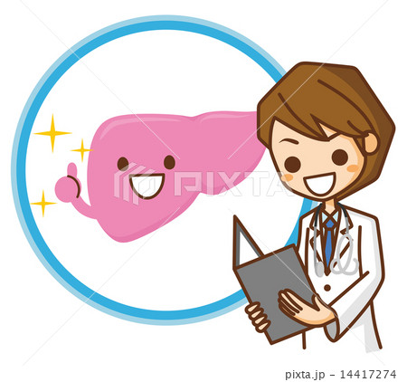 肝臓 イラストのイラスト素材
