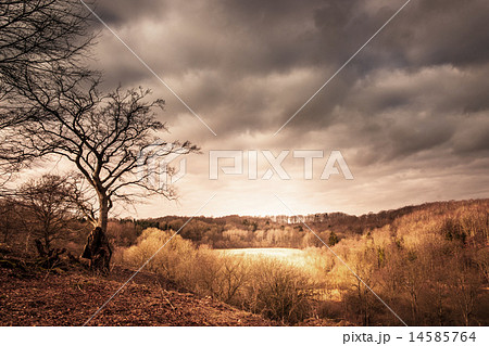 荒れた土地 景色 水平線 風景 嵐 地平線 土地の写真素材