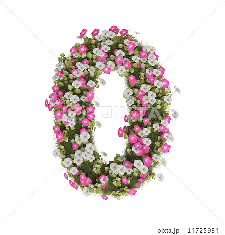 朝顔 花 数字 7のイラスト素材