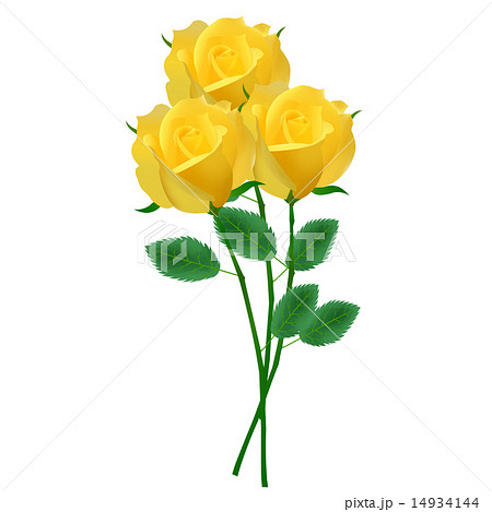 バラ 父の日 アイコン 花のイラスト素材