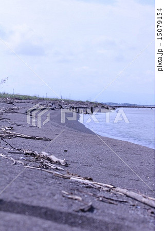 北海道　日本海流木 海岸 海 日本海 流木の写真素材 - PIXTA
