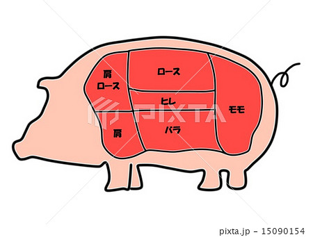 豚 豚肉 部位 肉のイラスト素材