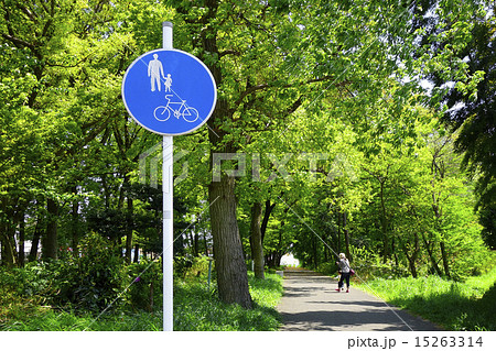 自転車および歩行者専用道路の写真素材
