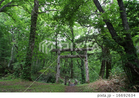 来運神社の写真素材