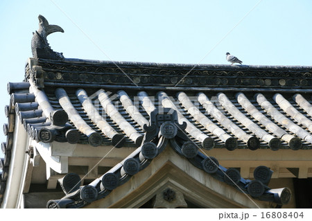 香川県 丸亀城 鳩 瓦屋根の写真素材 - PIXTA