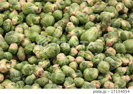 新品日本製 Kel 1587 ブリュッセルスプラウト フレーム付き写真 Kel 1587 Br ブルセルスプラウト Br ブリュッセルで開発され 販売特価 New Tenci Org