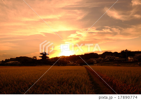 夕方 風景 夕暮れ 10月の写真素材 - PIXTA