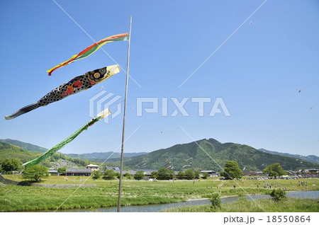 五十崎大凧合戦の写真素材