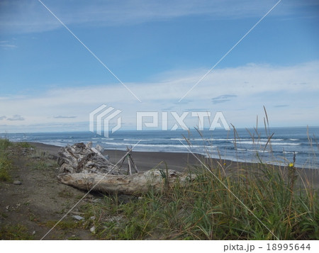 海岸 流木 海 オホーツク海の写真素材 - PIXTA