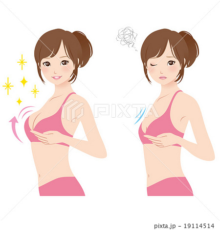 Woman breast cutaway diagram. - Stock Illustration [29109330] - PIXTA