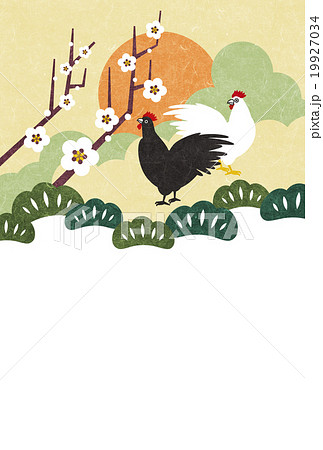 年賀状 酉年 ニワトリ フォトフレームのイラスト素材