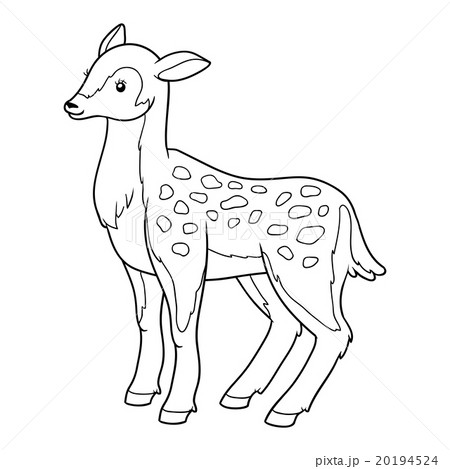着色 ベクトル しか 雌鹿のイラスト素材