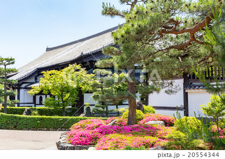 五月杜鵑花日本庭園日式庭園日式庭院照片素材