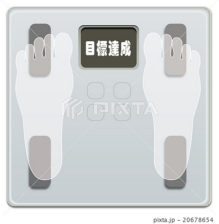 骨格筋率のイラスト素材