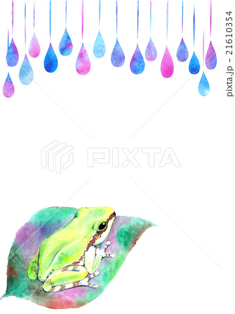 白バック 水彩 雨 カエルのイラスト素材