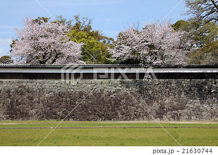 熊本城 城 塀 お濠の写真素材