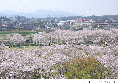 細川綱利の写真素材