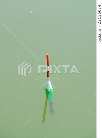 ウキ釣り 釣り 引き あたりの写真素材
