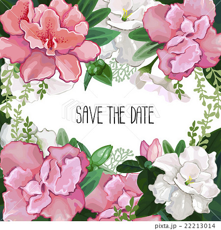 花 フレーム ツツジ つつじ 植物のイラスト素材 - PIXTA