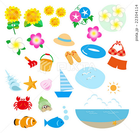 朝顔貝の写真素材