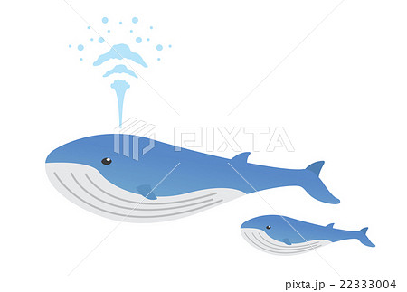 ベクター クジラの親子 クジラ かわいいクジラのイラスト素材