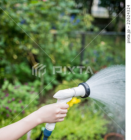 水やり 水 ホース 水撒きの写真素材