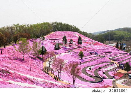 東藻琴村 ひがしもことむらの写真素材