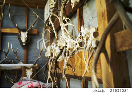 狩猟小屋の写真素材