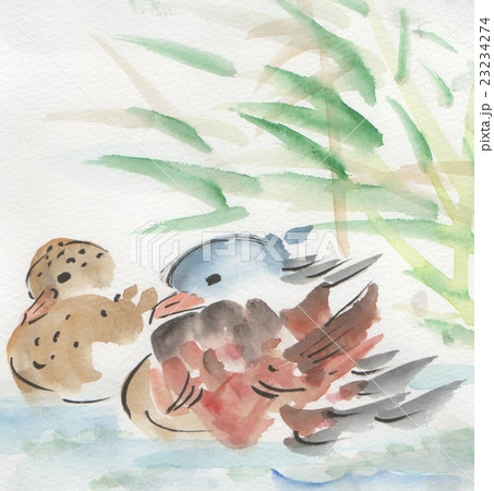 水彩画「おし鳥夫婦」 Eng Sub]【HOW TO WATERCOLOR 60】水彩画 /梅/メジロ - YouTube