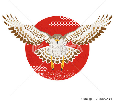 鷹 鳥 飛ぶ クマタカのイラスト素材 Pixta