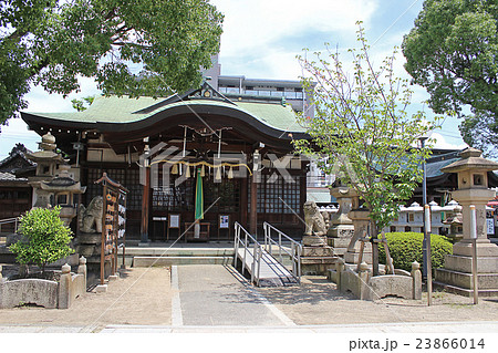 感田神社 大阪府 貝塚市 神社仏閣の写真素材