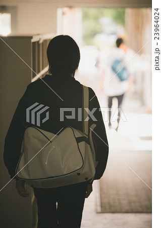 中学生 後ろ姿 学ラン 人物の写真素材