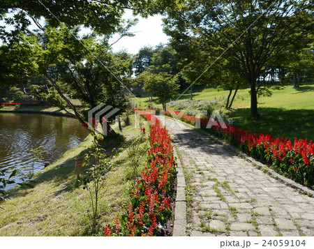 東北ニュージーランド村の写真素材