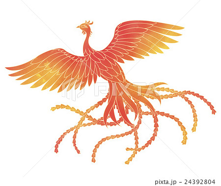 鳳凰 オレンジ色 白背景 鳥のイラスト素材