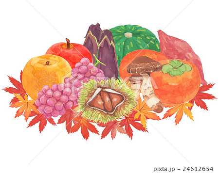 秋の味覚 フルーツ 果物 食材のイラスト素材