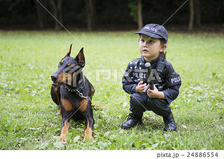 警察犬 ドーベルマンの写真素材