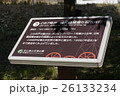 井綱