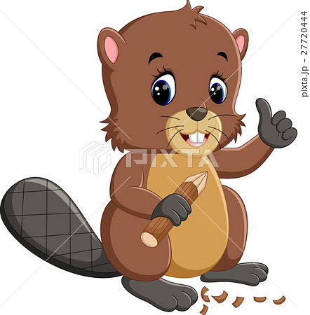 ビーバー かわいいのイラスト素材