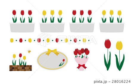 プランター イラスト 鉢植え チューリップのイラスト素材