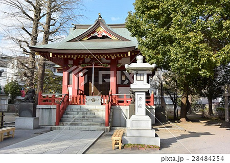 新小岩香取神社 香取神社 神社 神社仏閣の写真素材